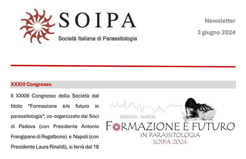 soipa_newsletter2024