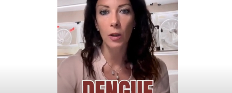 dengue_in_italia